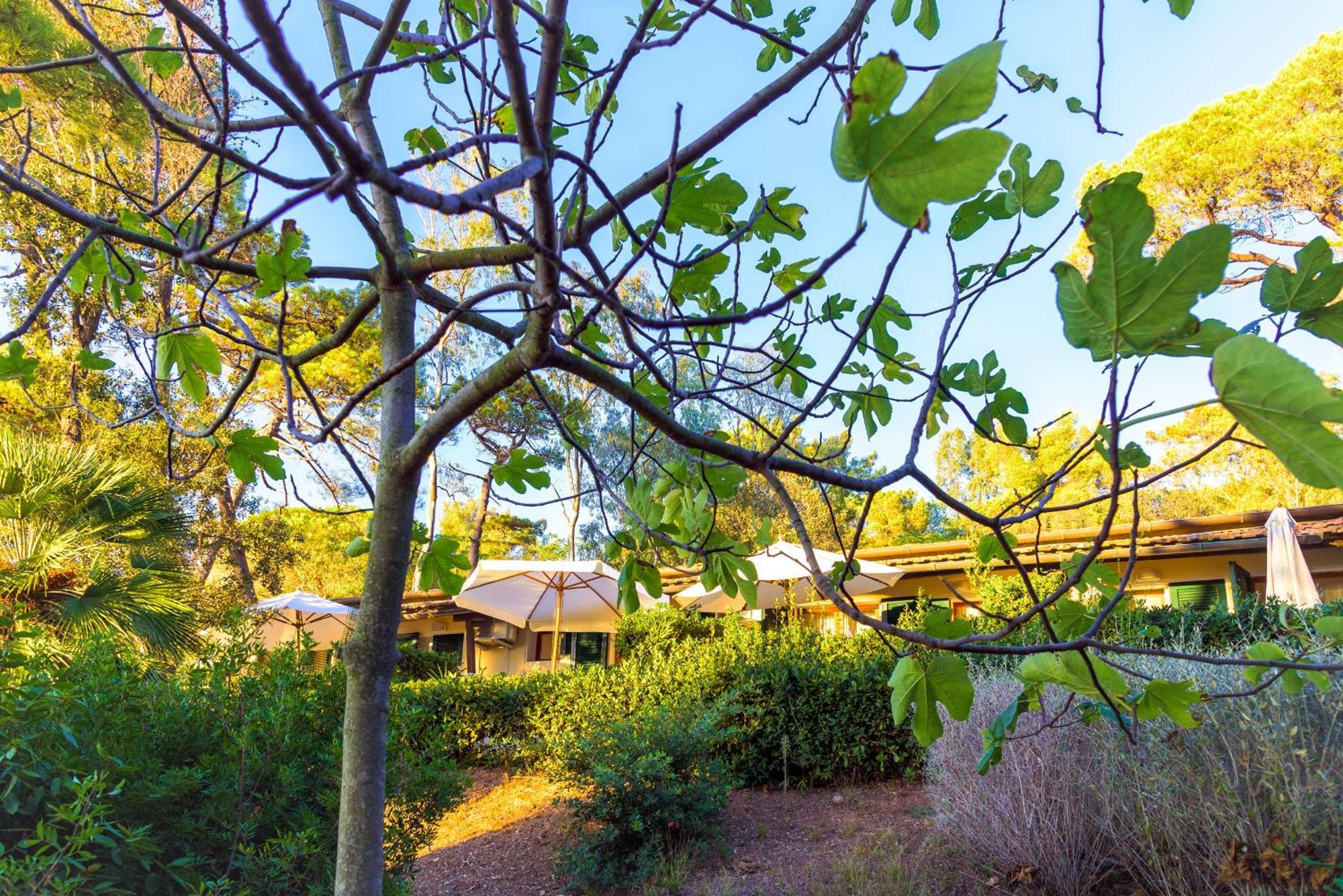 Hotel Villa Ottone Портоферайо Екстериор снимка